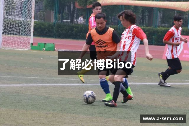 了解必博Bibo